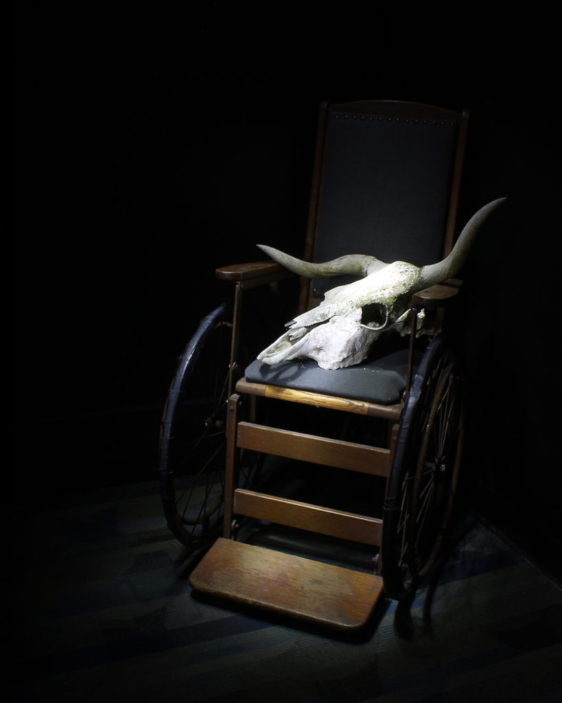 skull in wheelchair